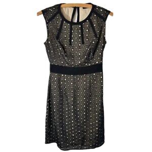 The Limited Dress Black and Tan Eyelet Sheath Dress Size 0